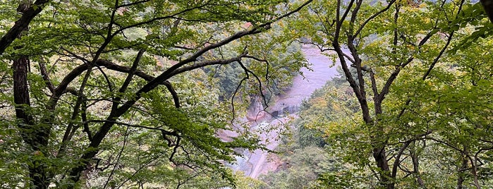 吹割の滝 第三観瀑台 is one of 公園.