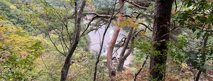 吹割の滝 第一観瀑台 is one of 公園.