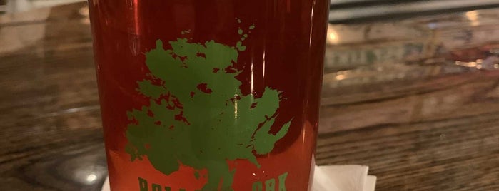 Rolling Oak Brewery Co is one of Michigan to-do.