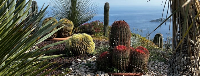 Jardin Exotique is one of Menton.