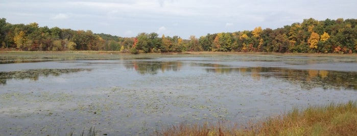 Highland State Recreation Area is one of Michigan State Parks.