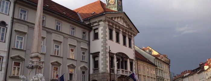 STIC Ljubljana is one of SLOVENIA.