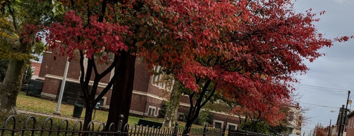 Library Park ( ann street / almond street) is one of Park / plaza / outdoors.