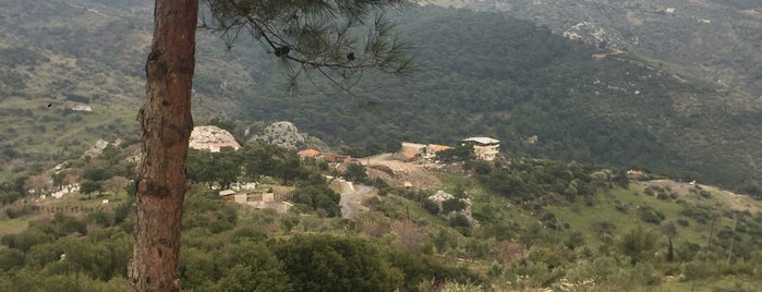 Reçine At Çiftliği is one of Lugares guardados de Burak.