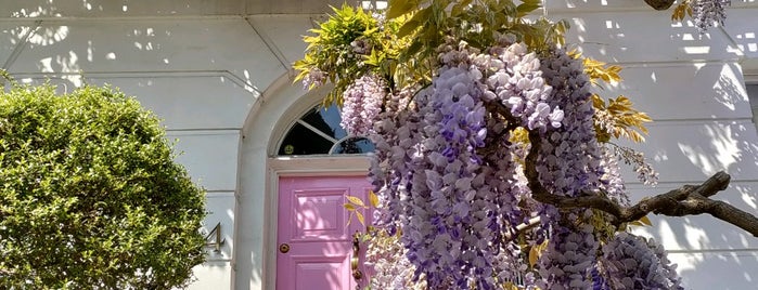 13 Bedford Gardens is one of Wisteria.