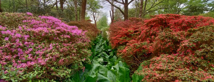 Isabella Plantation is one of Richmond.