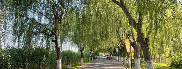 Grand Canal Forest Park is one of CHN Beijing.