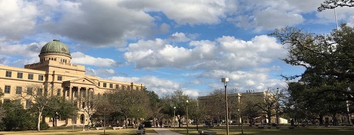 Academic Building is one of TAMU Points of Interest.