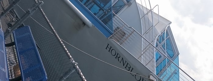 Hornblower Infinity is one of สถานที่ที่ funky ถูกใจ.