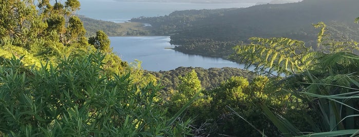 Waitākere Ranges is one of Auckland.