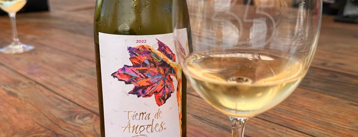 Cava Santo Tomas is one of Valle de Guadalupe.