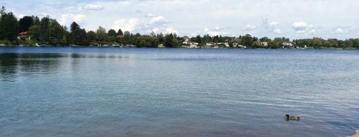 Strandbad Neufelder See is one of Orte, die Karl gefallen.