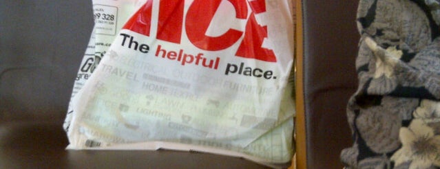 Ace Hardware is one of Fixer Upper Badge.