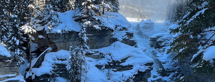 Athabasca Falls is one of Orte, die Heloisa gefallen.