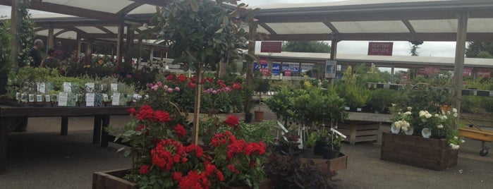 Thurrock Garden Centre is one of Lynnさんのお気に入りスポット.