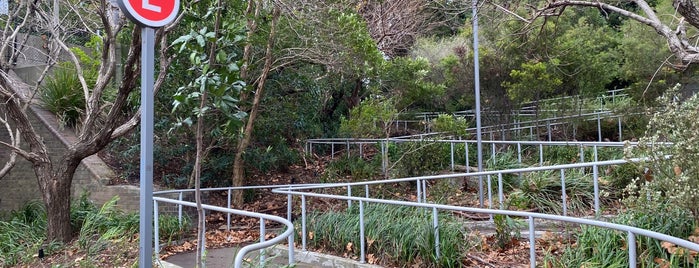 Wentworth Park Light Rail Stop is one of Sydney Light Rail.