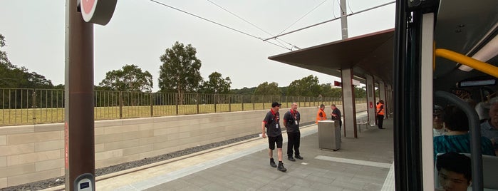 Royal Randwick Light Rail Stop is one of Sydney Light Rail.