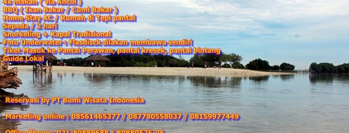 Pulau Pari Pantai Pasir Perawan