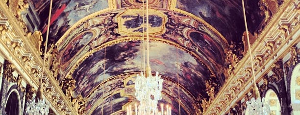 Reggia di Versailles is one of Fleur's Paris.