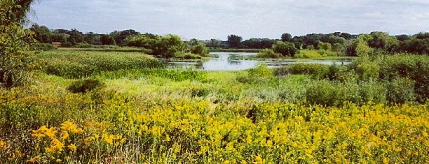 Blackwell Forest Preserve is one of Hiking in Northeast Illinois.
