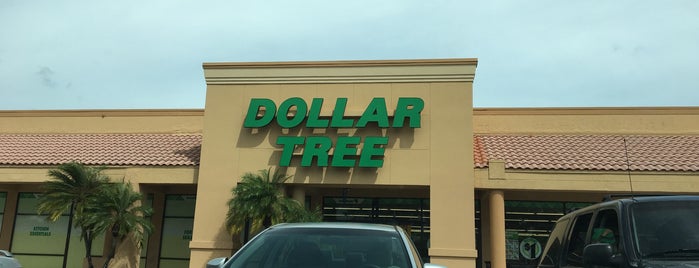 Dollar Tree is one of Stores I go.