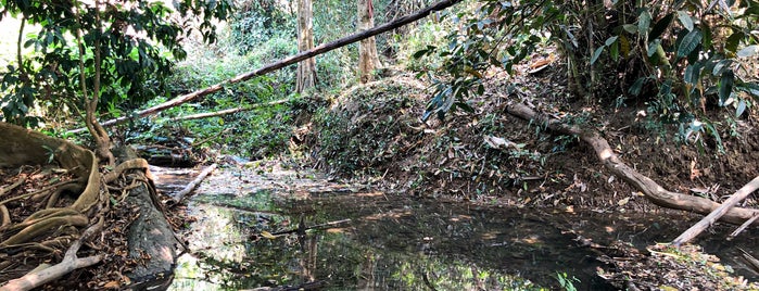 Lum Khlong Ngu National Park is one of กาญจนบุรี.