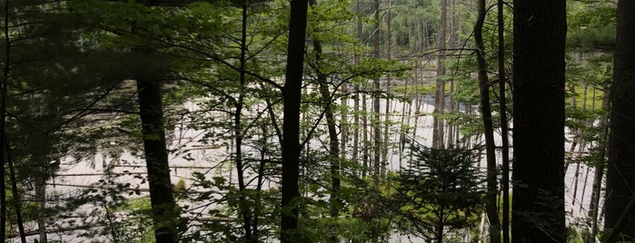 Wilmington Wild Forest Flume Trails is one of Adirondacks Vacation.