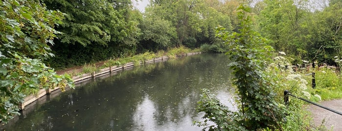 Enfield Town Park is one of Spring Famous London Story.