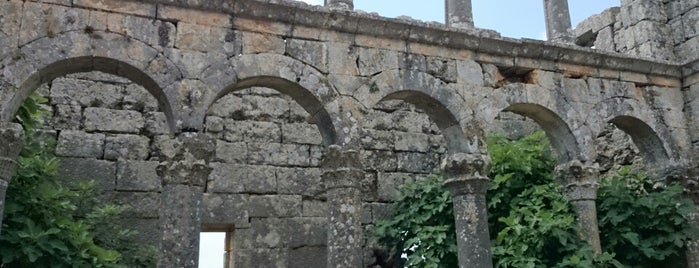 cambazli kilisesi is one of güneydoğu anadolu tur v1.