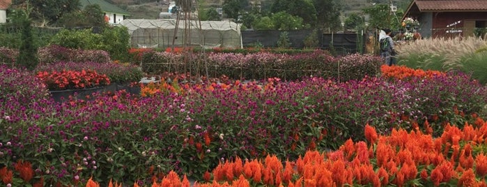 Kebun Bunga Begonia is one of To visit.