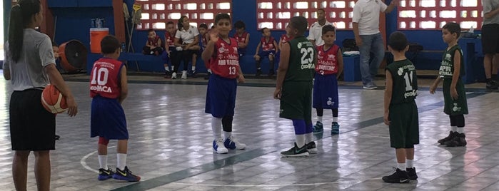 Asociacion Baloncesto De Bayamon is one of baloncesto.