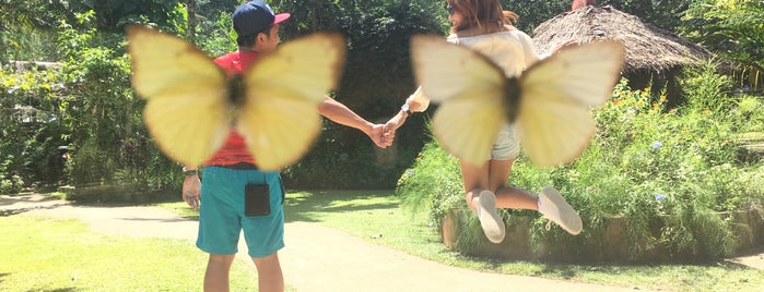 Jumalon Butterfly Sanctuary is one of Posti che sono piaciuti a Eisen.