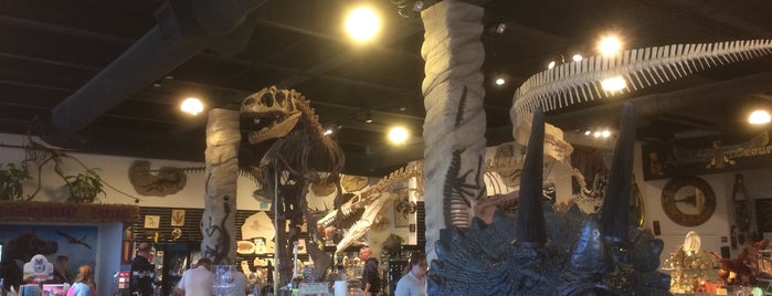 Dinosaur Store is one of cocoa beach.