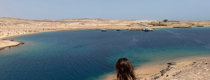 Marsa Bareika - Dive Site is one of Sharm 🤿🎣.