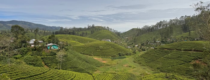 Ceylon Tea Trails is one of Sri Lanka.