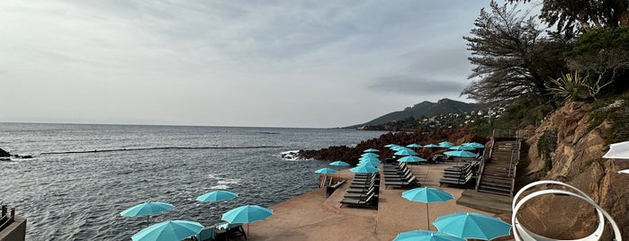 Tiara Miramar Beach Hotel Cannes is one of Отели.