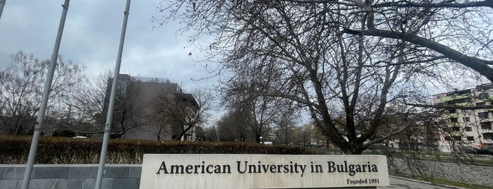 American University In Bulgaria is one of AMICAL 2015.