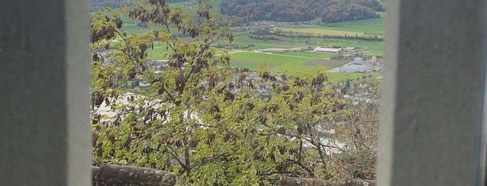 Burg Hohenklingen is one of Ferienheim Tannenhof in Rothaus.