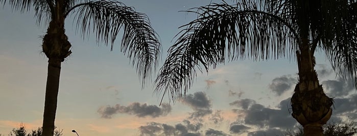 Paradise Palms is one of Lieux qui ont plu à Flávia.