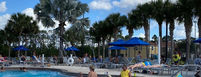 Paradise Palms Pool is one of Posti che sono piaciuti a Justin.