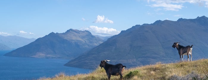 Queenstown Hill Summit is one of New Zealand.