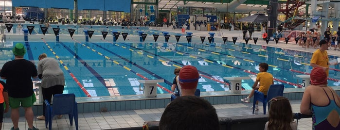 Adelaide Aquatic Centre is one of Fun Stuff for Kids around South Austrailia.