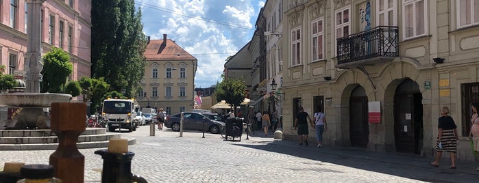 Druga violina is one of Ljubljana.