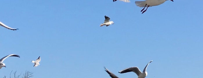 Meşhur  Sarıyer  Börekçisi is one of Posti che sono piaciuti a Mehmet Gazi.