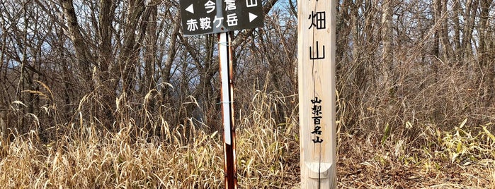 菜畑山 is one of 山梨百名山.