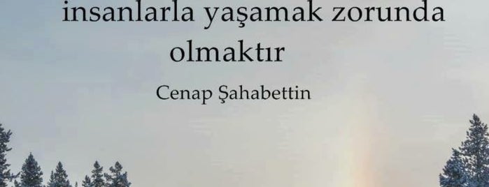 Site is one of ALFA GAZİEMİR.