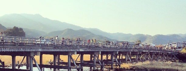 Togetsu-kyo Bridge is one of Japanese Places to Visit.