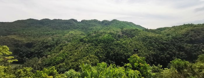 Loboc Eco Tourism Adventure Park is one of Posti che sono piaciuti a Edzel.