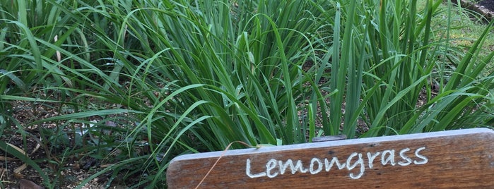 Organic Garden, The Tongsai Bay is one of Samui.