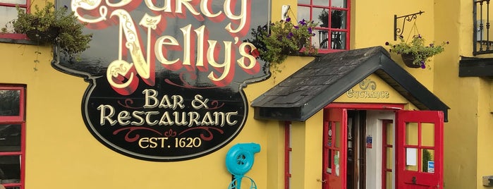 Durty Nelly's is one of Ireland To Do.
